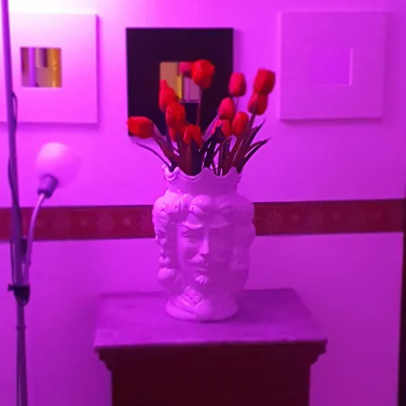 לינה וארוחת בוקר Alba פלרמו